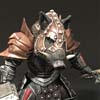 Boarrior