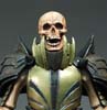 Malleus