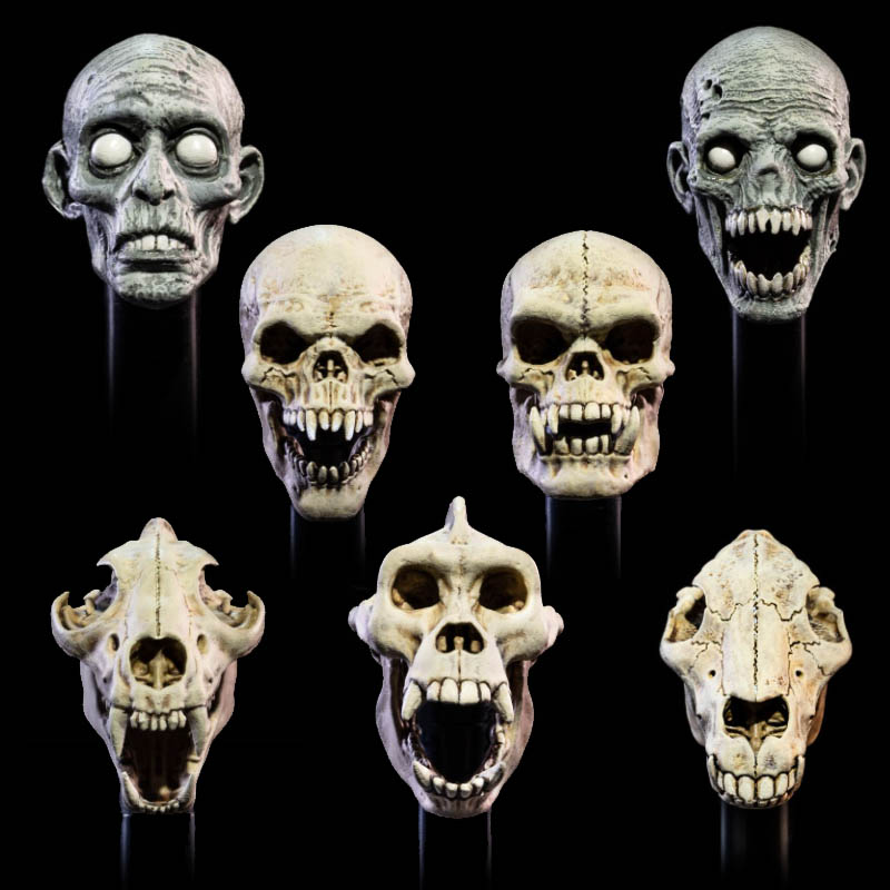 undead-heads-pack